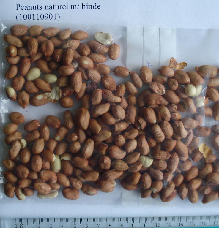 Varen betegnes som Peanuts naturel m/hinde og fremstår som afskallede jordnødder. De er 1-1,5 cm lange, under 1 cm i diameter og har fortsat den brune hinde. Der er efter det oplyste ikke tilsat andet til jordnødderne og heller sket yderligere forarbejdning end afskalningen.  

Varen foreligger i pakninger til detailsalg og i bulk.