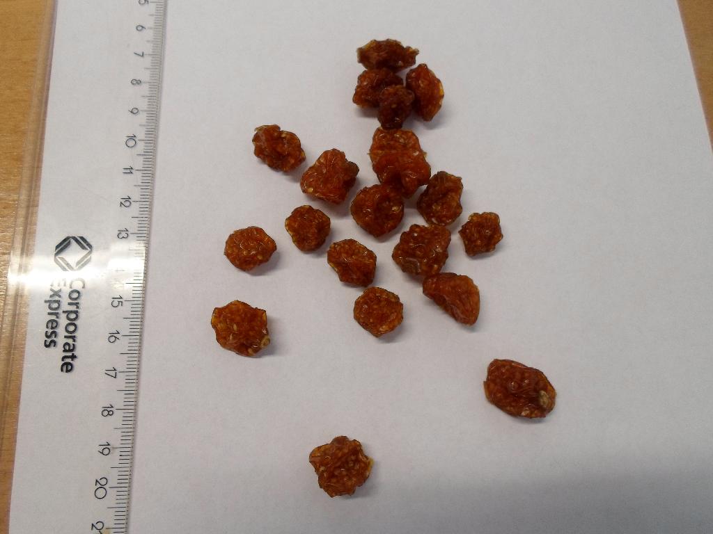 Der er tale om tørrede, orange-røde bær ca. 1-2 cm store med gule frø i bærrenes indre. Det er oplyst, at der er tale om ananaskirsebær (Physalis)

Varen er fremkommet ved forsigtigt at tilføre fordampet sukkerrør saft til hele ananaskirsebær, som herefter bliver tørret.

Varen foreligger i poser under 1 kg.