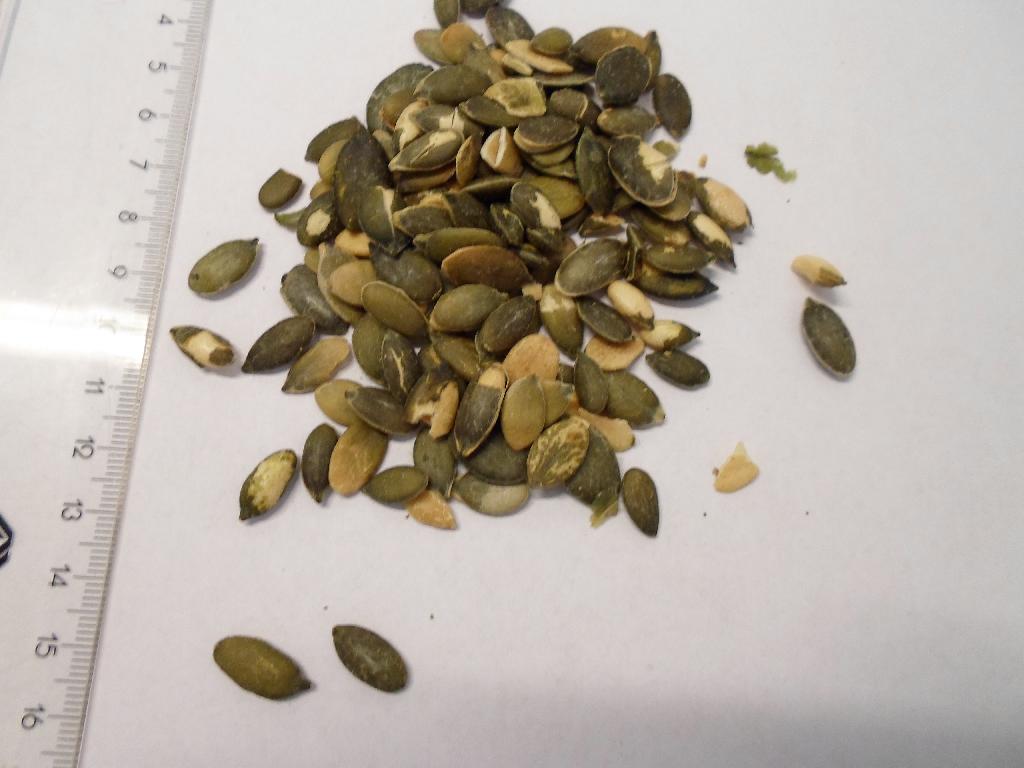Produktet er tørristede græskarkerner 

Kernerne er uden den ydre skal. Kernerne er med den naturlige farve i grønlige og brune nuancer og med en længde på ca. 1,5 cm og har en let ristet og saltet smag.

Ifølge det oplyste består produktet af 99 % græskarkerner og 1 % salt.

Fremstillingen er oplyst til at være som følgende: Kerner fra græskar, der genetisk er uden hård skal, renses, tørres, sorteres, saltes, ristes og pakkes. Græskarkernerne er tørristede.

Varen foreligger i bulk (over 1 kg).