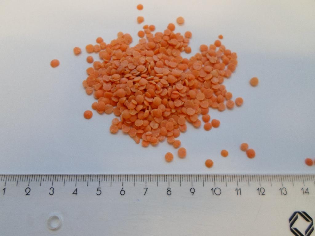 Varen fremstår som tørrede, flade linser i forskellige røde nuancer. De er som hovedregel omkring 4 mm i diameter. Det er oplyst, at det kun er røde linser i varen, og at der er tale om sorten Lens culinaris. 

Det er oplyst, at der ikke er sket yderligere forarbejdning end sortering og emballering.