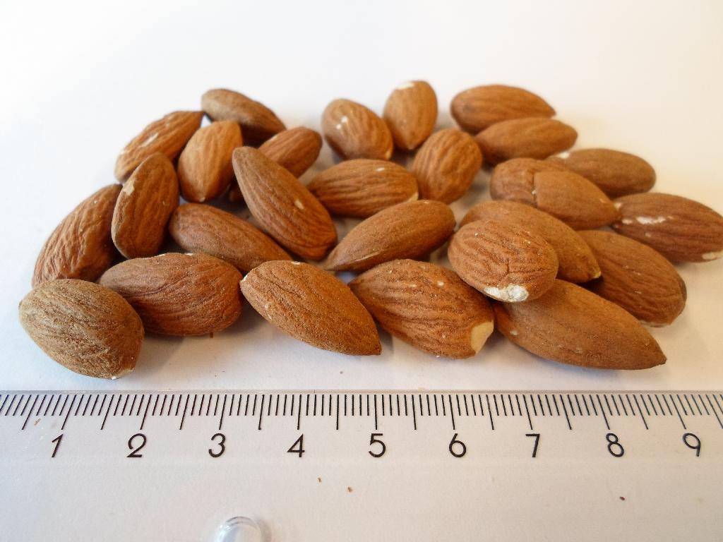 Varen er 100 % mandler, der er tørristet. Mandlerne er ca. 2-2,5 cm lange og er afskallede, men dækket af den brune hinde. Endvidere smager de ristet.

Det er lagt til grund, at den nævnte tørristning er mere end bare en tørring. Dette understøttes af, at den ristede er mørkere, når den halveres, end en mandel, der kun er tørret.

Varen foreligger i pakninger af 1 kg og derunder.