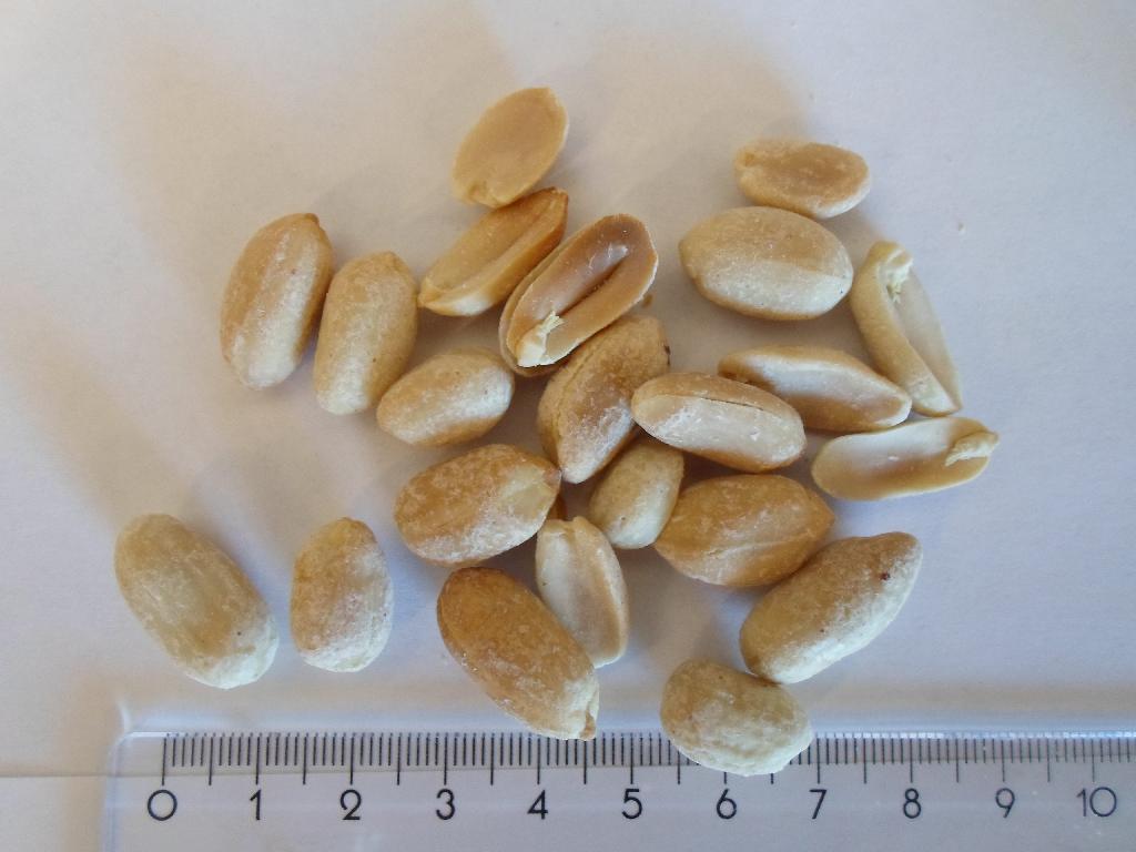 Det er oplyst, at varen er 100 % tørristede peanuts. 
Varen fremstår som lysebrune afskallede og stort set afhindede jordnødder. De er ca. 1,5-2 cm lange og har form som jordnødder og smager som ristede jord-nødder.
Varen foreligger i detailsalgspakninger (nettovægt 1 kg og derunder).