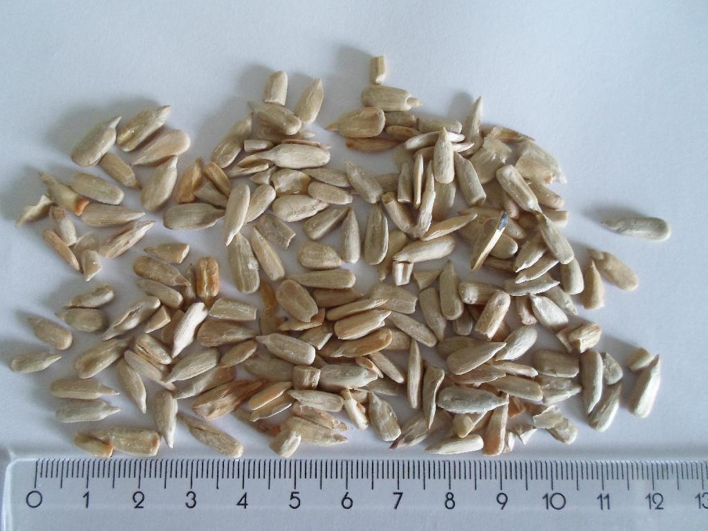 Det er oplyst, at varen er 100 % ristede solsikkekerner. Varen fremstår som solsikkekerner, er ca. 1-1,5 cm lange og farven er beige-lysebrun.

Varen foreligger i pakninger af nettovægt over 1 kg.

Analyse har vist, at solsikkekernerne er ristede.