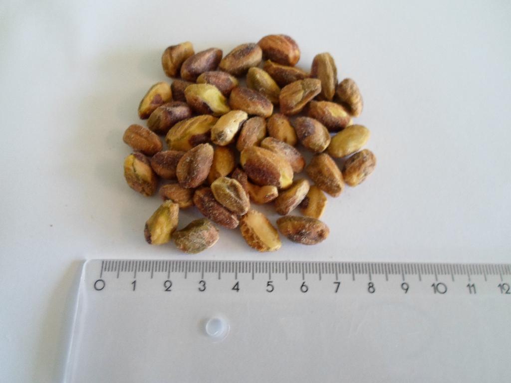 Det er oplyst at varen består af 99,0 % tørristet pistaciekerner og 1 % salt. 

Varen foreligger, ifølge det oplyste, i detailsalgs pakninger af 1 kg. og derunder.

Kernerne er uden skal, de smager letsaltet og er sprøde. Farven er grøn/brunlig, som også ses ved gennemskæring af kernen. 

Der er ikke foretaget øvrig analyse af varen.