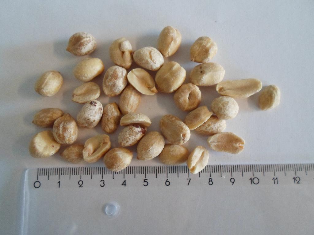 Produktet "tørristede peanuts i saltlage" pakkes i en klar folie. Den består af:
99,2% tørristede peanuts 0,8% salt

Proces: nødden køres igennem en saltlage før den tørristes.

Varen foreligger i pakninger af nettovægt på 1 kg eller derunder.

Varen fremstår som peanuts, der er ristet og saltet. Nødden er brunlig og med en belægning af salt. Varen smager salt og ristet.