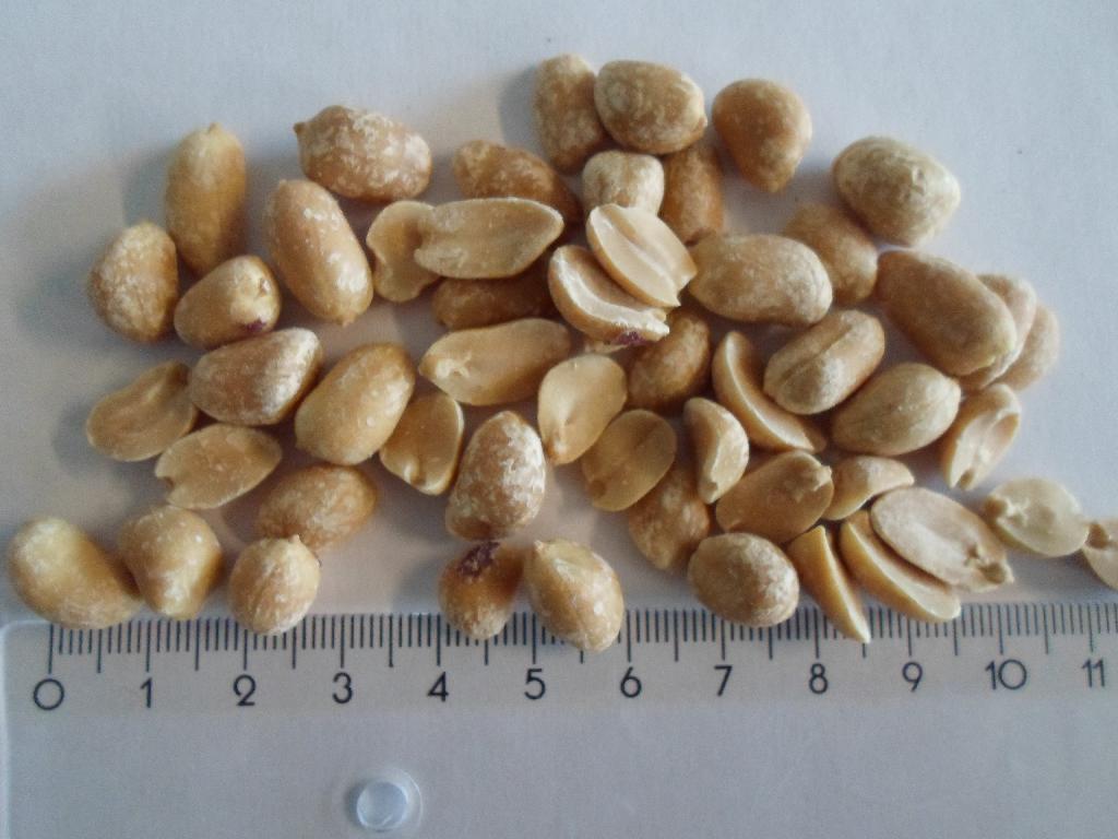 Produktet "økologiske, tørristede peanuts i saltlage" pakkes i en klar folie. Den består af:
99,2% peanuts 0,8% salt

Proces: nødden køres igennem en saltlage før den tørristes.

Varen foreligger i pakninger af nettovægt på 1 kg eller derunder.

Varen fremstår som peanuts, der er ristet og saltet. Nødden er brunlig, og med en belægning af salt. Varen smager salt og ristet