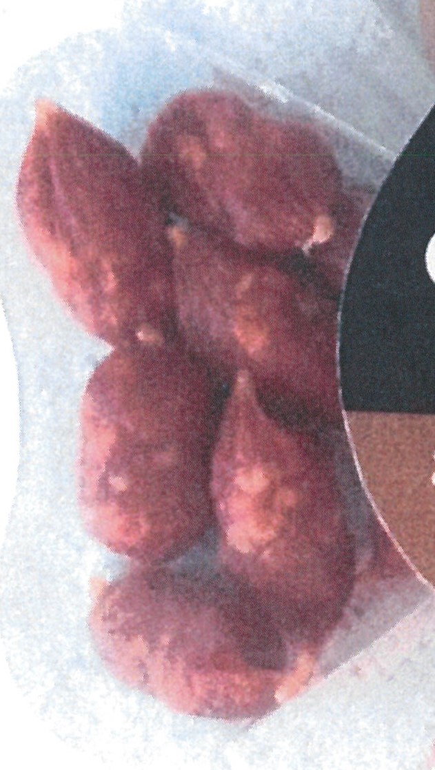 Chorizo pølse: 
Det er oplyst at varen består af følgende: Til 100 g færdigvare er anvendt:  183 g svinekød, salt, krydderier dextrose, glukosesirup, hvidløg, naturlig paprika aroma, antioxidant (E316), konserveringsmiddel (E250), starterkultur, spiselig kollagen tarm, laktose, konserveringsmiddel (E235). 

Anvendes som tapas.

I detailsalgspakke, indeholdende i alt 200 g, hvoraf chorizo pølse  udgør 50 g.