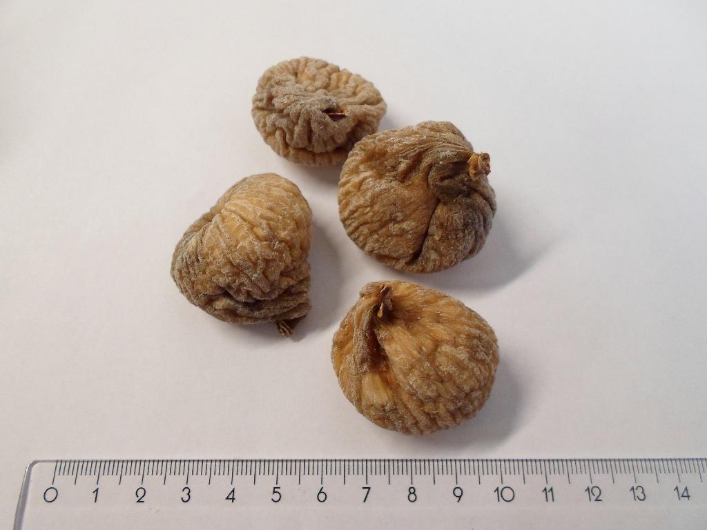 Varen er en fødevare (tørret figner). 

Det er oplyst, at varen indeholder 100 % soltørret figner. 

Varen fremstår som hele tørrede figner, som er ca. 3 til 5 cm lange. Varen dufter og smager sødt som figner. Konsistensen er som tørret frugt. 

Det er oplyst, at arten er Ficus Carica.

Varen kan frembydes både i bulk og i detailsalgspakninger.