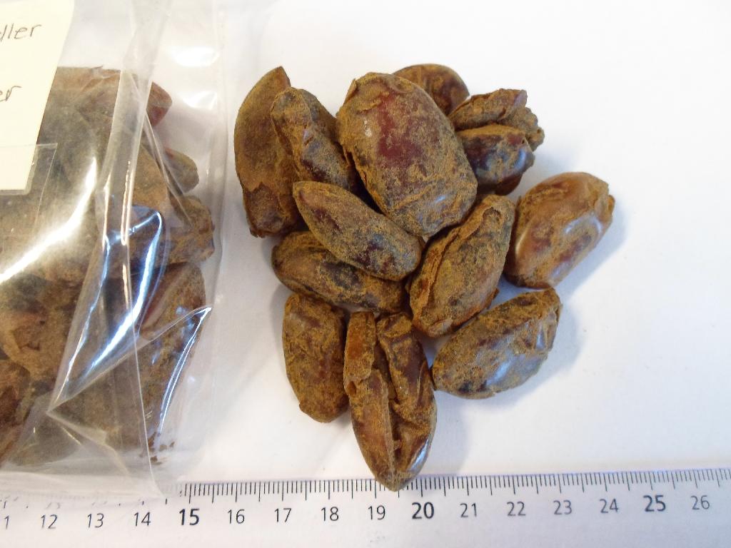 Varen er ifølge det oplyste snacks af dadler med lakrids, med indhold af 99,00 % dadler af sorten: Sayer og 1,00 % lakrids.

Varen er pakket i detailsalgsemballage.

Fremstillingsproces: De udstenede tørrede dadler er vendt i lakrids.

Dadlerne dufter af lakrids og smager sødt af dadler og lakrids.