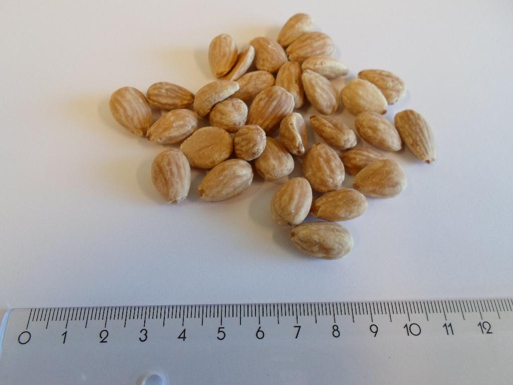 Varen er en fødevarer (blancherede, tørristede mandler fra saltlage). 

Det er oplyst, at varen er blancheret og kommes i en saltlage, hvorefter den tørristes. 

Varen fremstår som sprøde mandler uden skal og de brune mellemhinder enten hele eller halve og belagt med salt. De er ca. 1,5 til 2 cm lange. Smagen er saltet, med en sød og mild eftersmag af mandler. 

Varen frembydes i pakninger af nettovægt 1 kg og derunder.
