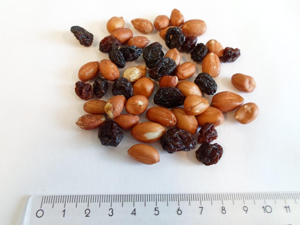 Varen er en blanding. 

Det er oplyst at varen består af:
-	peanuts naturel m/hinde
-	rosiner

Varen frembydes i pakninger på nettovægt 1 kg og derunder. 

Hele den fremsendte vareprøve, har været sendt til analyse. 

Jordnødderne forekommer ikke at være ristede.