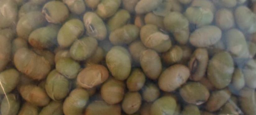 Edamamebønnerne i varen er lysegrønne. De er omkring 1 cm lange. Den yderste grønne hinde er på nogle af bønnerne revnet og let at fjerne. Under den findes en grønlig bønne. Smagen er en let saltet og ”melet” bønnesmag.
Varen er en fødevare. Varen frembydes i detailsalgspakninger på nettovægt 1 kg og derunder.
Følgende indhold er oplyst:
-	98,50 % edamamebønner
-	 1,50 % salt
Det er oplyst, at den latinske betegnelse for bønnerne i varen er ”Glycine Max (L) Merr”. Edamamebønner betragtes som sojabønner. 

Fremstillingsprocessen er at bønnerne sorteres og lægges i saltvand. Herefter tages de op og gennemgår varmebehandling ved 220 grader i 25-30 minutter og afkøles.