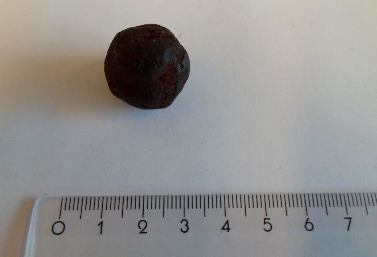 Varen er en fødevare.
Varen frembydes i pakninger på nettovægt 1 kg og derunder.
Varen betegnes ”raw ball peanut” og det er oplyst, at varen består af:

-	dadler (soltørret)
-	ristet peanuts
-	kokos (tørret og revet)
-	kakaopulver
-	dadelsirup

Ingredienserne er blendet og formet til kugler.
Varen består af runde brune kugler, som er ca. 2 x 2 cm. Overfladen er mørkebrun af kakao og føles fedtet. Varen dufter af kakao og smager både af kakao og som dadler. Ved gennemskæring er varen lysere brun og der ses synlige peanuts-stykker.