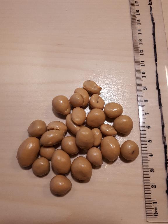 Varen forligger som jordnødder belagt med lysebrun chokolade.
Varen er en fødevare.
Følgende indhold er oplyst:
- Peanut
- Sukker
- Kakaosmør
- Mælkepulver
- Glucose sirup
- Vegetabilsk olie (palme olie)
- Havsalt
De chokoladebelagte jordnødder er ca. 1-2 cm lange og foreligger som lysebrune ovale kugler med glinsende overflade. Ved gennemskæring ses en hel jordnød, der er belagt med et lysebrunt lag (ca. 1-2 mm). Jordnødden er med den tynde brune hinde, er sprøde og lidt mørkere end almindelige jordnødder, hvorfor de fremstår ristede. Varen smager sødt af ristede jordnødder og svagt af karamel med salt. 

Varen frembydes både i pakninger til detail og bulk.