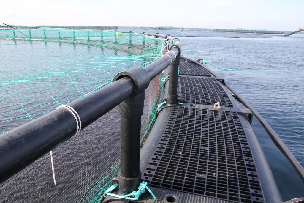 Virksomheden oplyser, at varen fremstår som et ’flydende fiskebur’.

Varen er opbygget af HDPE-rør, fittings, gangbrosplader og et gelænder.

HDPE-rørene udgør den bærende del, der er nedsunket i vand. Det er oplyst, at varen kommer i to varianter, der bestemmes af rørenes diameter. Rørene kan være enten 250 mm eller 500 mm i diameter. 

Fittings er udformet til at kunne samle enderne af to rør og samtidig holde to rør ved siden af hinanden med nok mellemrum til, at gangbrospladerne kan sættes ned mellem rørene.

Øverst i den ene side af fittings, er de udformet med en holder, hvor gelænderet kan monteres. Gelænderet består af mindre rør samlet ved hjælp af t-fittings.

Varen er lavet af sort plast (polyethylene) og kommer i adskilt stand. Når varen er samlet, fremstår det som en cirkulær struktur med en omkreds på 160 meter.

Sammen med varen foreligger desuden skruer, bolte, møtrikker og lignende i et antal, der passer til samling af varen.
Varen benyttes som et flydende fiskebur til opdræt af fisk.

Varen flyder på vandet og fastgøres ved hjælp af et net til bunden. Nettet er ikke en del af den foreliggende vare.

Varen kan benyttes både i salt- og ferskvand.