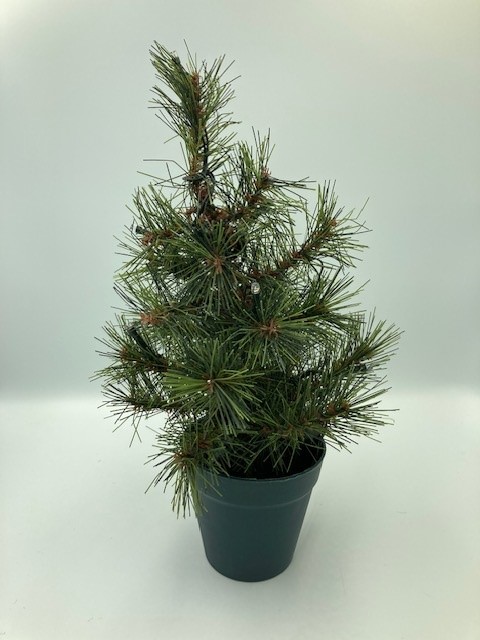 Varen er et kunstigt nåletræ med bøjelige grene. Det kunstige nåletræ er faststøbt i en potte. Varen er forsynet med LED-lyskæde.
Varen er en efterligning af en naturlig plante og anvendes som pyntegenstand; dvs. til dekorationsformål.
Varen er fremstillet af plast, metal og cement og er forsynet med en LED-lyskæde med 10 lys. Lyskæden er batteridrevet (batterier medfølger ikke).
Varens samlede højde er ca. 30 cm.
Pottens højde er 9 cm, og dens diameter er ca. 9 cm øverst og ca. 6 cm nederst.