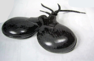 Instrumento musical de percusión, de madera, de color negro, denominado castañuelas. El cordón que sujeta ambas piezas cóncavas es de fibra. Se presenta para su venta al por menor en varios tamaños.