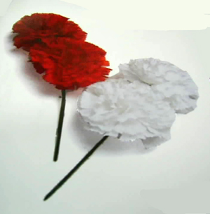 Flor que imita dos claveles con pequeño tallo, confeccionada en tela sin tejer (poliéster). El tallo es único para los dos claveles y está realizado en alambre y plástico. 
Se utiliza como adorno para la cabeza en la práctica del baile flamenco.
Se presenta para su venta al por menor en color rojo o blanco.