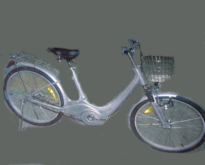 Bicicletas equipada con un motor eléctrico de 180 w que es alimentado por una batería de niquel. Admite una carga máxima de 75 kg, pesa 32 kg y tiene unas medidas de 1785 x 560 x 1045 mm.