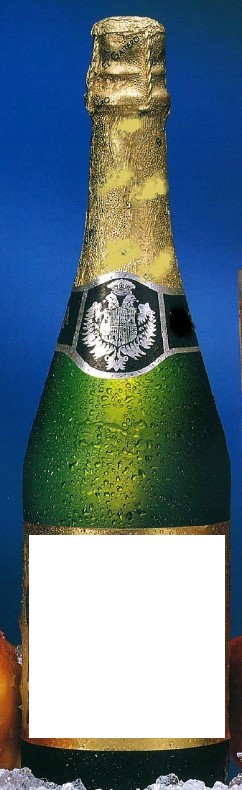 Sidra espumosa elaborada por métodos tradicionales con mezcla de manzanas típicamente asturianas, atendiendo a sus características organolépticas y tecnológicas (dulces, amargas y ácidas) y muy apropiadas para la elaboración de sidra por su riqueza aromática, obteniéndose así un mosto de alta calidad.

Se presenta en botella verde de 75cl. con tapón de "champiñón".
Apto para el consumo humano
Sidra
El mosto obtenido se somete a una fermentación alcohólica lenta y a bajas temperaturas. La sidra se somete a los procesos de clarificación, filtración tangencial por membrana cerámica y estabilización biológica dando lugar a una sidra semiseca.