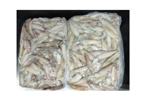 Calamar de California congelado “Loligo Opalescens”, sinónimo de “Doryteuthis Opalescens”, pescado con redes de cerco e izadas. Mercancía acondicionada en cajas de cartón de 10 kilos y que será sometida a elaboración antes de antes de su salida al consumidor final.
Concebido para uso alimentario.