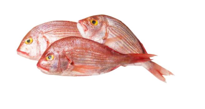 Pescado fresco sin elaborar con la denominación Sama Ojo Amarillo (Dentex angolensis). Se trata de un pescado robusto de la familia Sparidae, caracterizado por su cuerpo alargado, rosado o plateado, y sus ojos intensamente amarillos. Se presenta refrigerado a granel en cajas de poliestireno para su venta al público.
Concebido para uso alimentario.