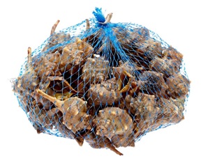 Descripción física: Cañailla (caracolas de mar) fresca, sin preparar, presentadas acondicionadas en una malla de 500gr.
Función o uso: Concebido para uso alimentario