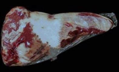 Carne de vacuno, colita de cuadril, que se presenta en trozo fresca y deshuesada.
No se declara como carne de calidad superior.
Función o uso: Consumo