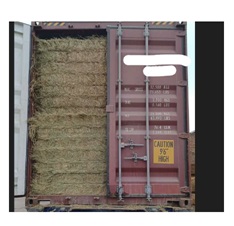 Heno procedente de la planta festuca para alimentación animal. Proceso de elaboración: se siega en el campo verde, se seca, se empaca y almacena un mes tras el cual los paquetes se rompen y comprimen. No fermentado. Se presenta para su venta al por mayor.
Alimentación animal como forraje.