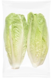 Descripción física: Lechuga Romana de diferentes tamaños y pesos. Se presenta en bandejas de 1 o 2 unidades.
Función o uso: Concebido para uso alimentario.