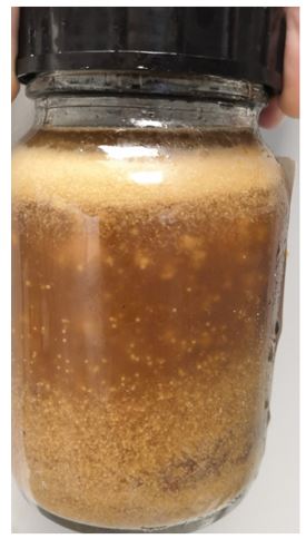 Aceite de cocina usado (UCO). Origen: restaurantes, comedores, establecimientos de catering, hogares, industria alimentaria (por ejemplo, plantas de procesamiento de pescado, freidoras, panaderías). Mezcla de grasas compuesta principalmente por aceites vegetales (incluidos los de girasol, colza, soja y palma) con un 3-4% de grasa animal procedente de productos fritos. El producto se importa en camión cisterna (23-24 toneladas por carga).
Para la elaboración de biocombustibles.