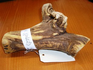 MORCEAU DE PIED DE VIGNE, BRUT DE COUPE, AVEC TROIS BRANCHES, ECORCÉ.  
DIMENSIONS : 23 X 17 X 6 CM ENVIRON.  

CET ARTICLE EST DESTINE A ETRE UTILISE COMME ACCESSOIRE DECORATIF DANS UN VIVARIUM.