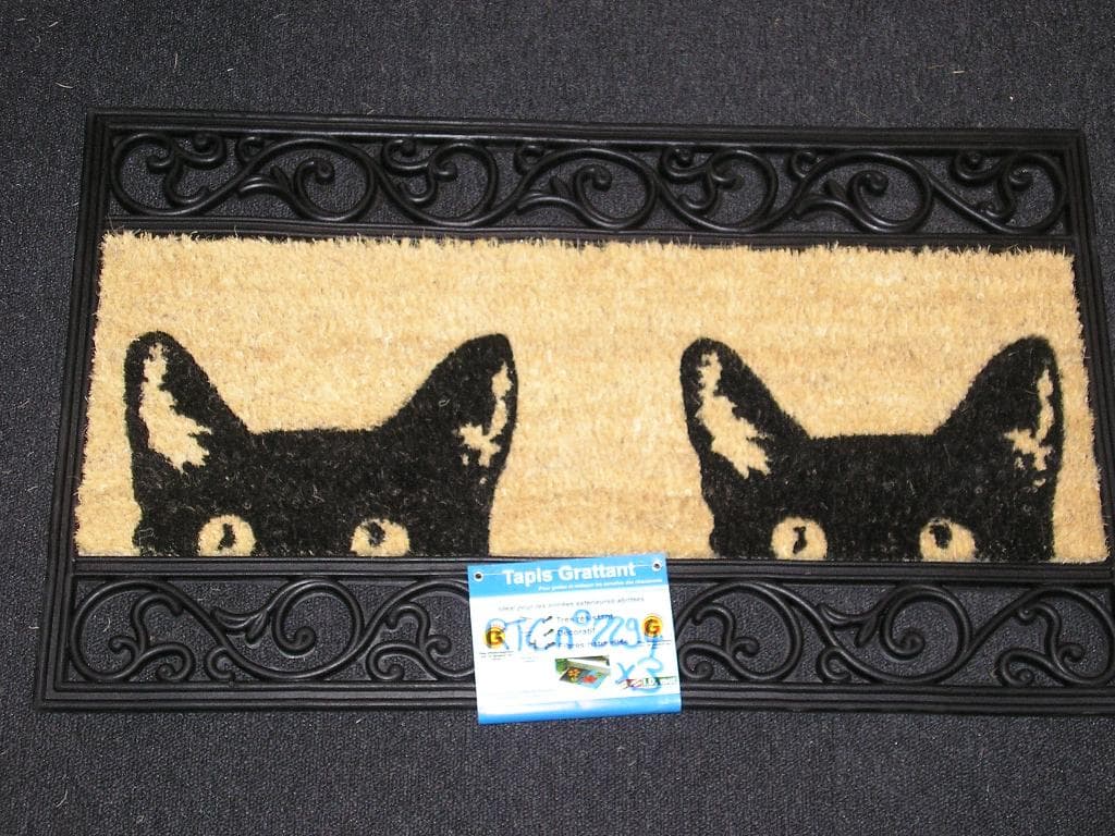 PAILLASSON, DE FORME RECTANGULAIRE, EN FIBRES DE COCO TISSÉES,NON TOUFFETÉ, MAIS FLOQUÉ.
LE TAPIS COMPORTE SUR L ENVERS UNE PLAQUE DE CAOUTCHOUC SUR LAQUELLE LES FIBRES DE COCO SONT FLOQUÉES AINSI QU'UN POURTOUR DÉCORATIF ÉGALEMENT EN CAOUTCHOUC. 

DIMENSIONS 45x75 CM
