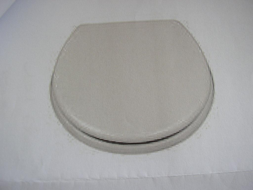 ABATTANT DE TOILETTE EN MATIÈRE PLASTIQUE DOTÉ DE CHARNIÈRES.