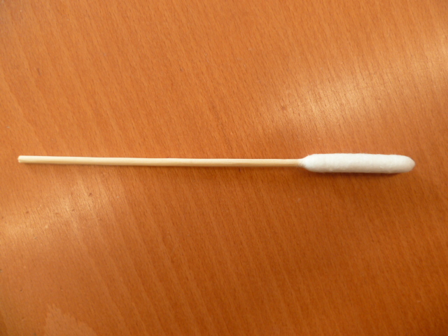 BATONNETS DE BOIS COUVERTS A UNE EXTREMITE DE OUATE DE COTON HYDROPHILE, DENOMMES COURAMMENT "COTON-TIGE", CONDITIONNES PAR 50 DANS UN SACHET DE MATIERE PLASTIQUE TRANSPARENTE, DESTINES AUX GRANDS CHIENS.