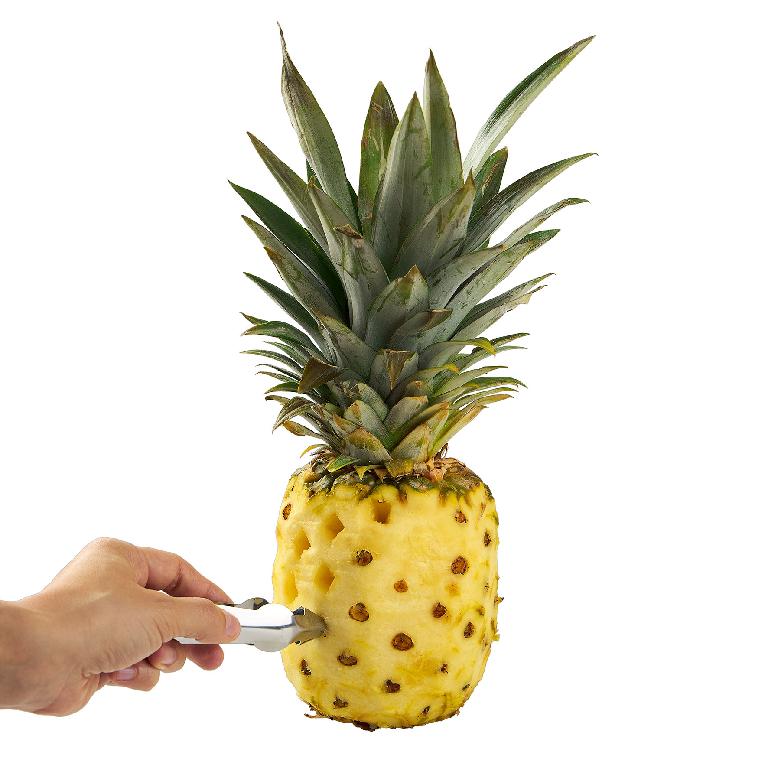 Pince à œil d'ananas en inox. IL sert à enlever les yeux d'ananas sans perdre de chair.
Cette pince sert à retirer les yeux d'un ananas.
Dimension : 1x13.5x2cm