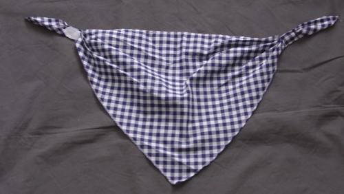 A WOVEN CRAVAT FOR BOYS. PART OF A COWBOY FANCY DRESS OUTFIT. IN GINGHAM FABRIC OF 65% POLYESTER/35% COTTON. A TRIANGULAR PIECE OF FABRIC, HEMMED ON ALL SIDES. PLEATED AND STITCHED WITH VELCRO FASTENING TO BACK OF NECK. PRESENTED WITH A CELLULAR COATED WAISTCOAT AND CHAPS. CLASSIFIED SEPARATELY. CROSS REF 113381014.