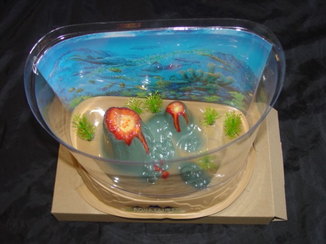 A 30 X 23 X 16CM (2 LITRES) PLASTIC AQUARIUM CONTAINER. INCLUDES AQUASAUR (TRIOPS LONGICAUDATUS) EGGS WHICH WHEN PLACED IN THE CONTAINER WITH WATER, WILL HATCH WITHIN A DAY. AQUASAURS ARE SIMPLE PRE-HISTORIC AQUATIC INVERTEBRATES.