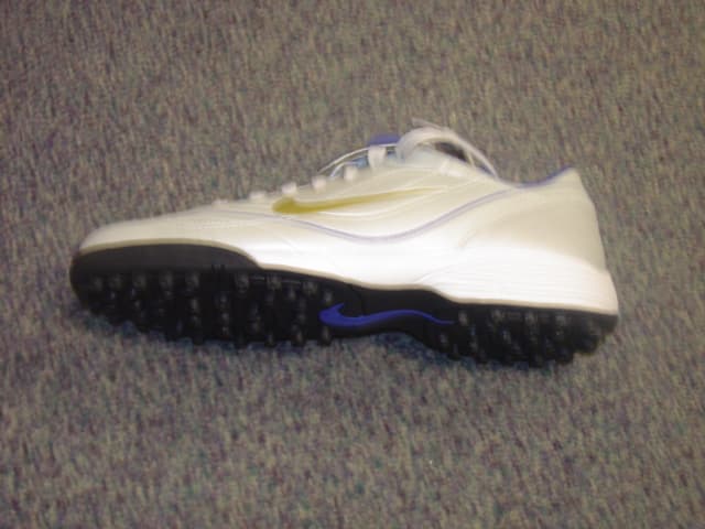 UNISEX ASTRO TRAINING SHOE. NOT COVERING THE ANKLE. UPPERS OF PLASTIC. OUTER SOLES OF RUBBER WITH SMALL RUBBER PIMPLES. WITH LOGO ON HEEL, UPPER AND TONGUE. LACE UPS. INSOLE LENGTH EXCEEDING 24 CMS. SILVER/BLUE IN COLOUR.