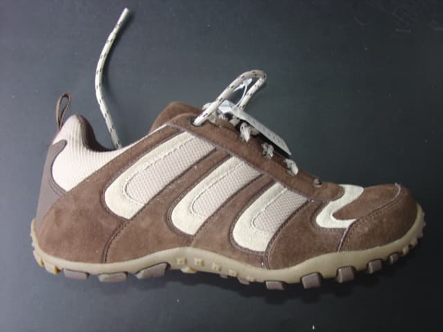 LADIES TRAINING SHOE. NOT COVERING THE ANKLE. UPPERS OF TEXTILE, PLASTIC  AND LEATHER. WHERE THE TEXTILE MATERIAL PREDOMINATES. OUTER SOLES OF RUBBER. LACE FASTENING. INSOLE LENGTH EXCEEDS 24 CMS IN LENGTH. CIF PRICE LESS THAN 7.5 EURO. BROWN/BEIGE IN COLOUR.