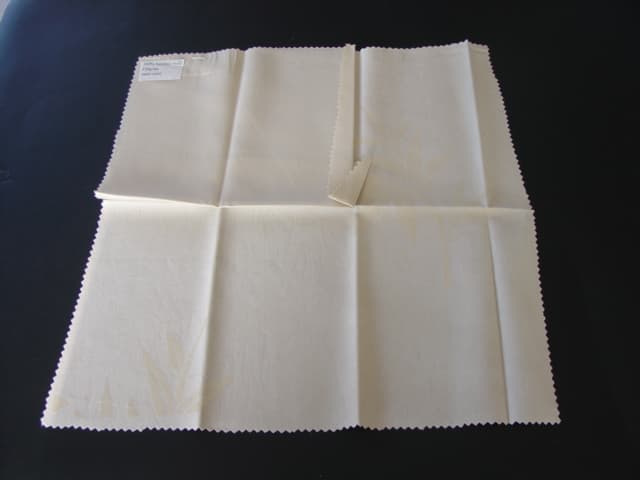 WOVEN PILLOW CASE MADE FROM 100 PERCENT BAMBOO. PRINTED ON ONE SIDE WITH A LEAF DESIGN, PLAIN ON THE OTHER.