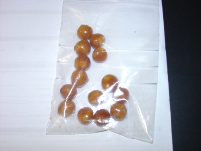 SUGAR CONFECTIONERY SUGAR COATED HAZELNUTS. PANNED GOODS