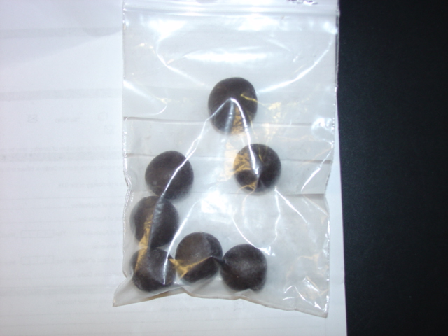 CHOCOLATE CONFECTIONERY. CHOCOLATE COATED HAZELNUTS. FILLED.