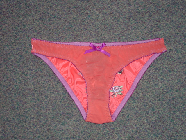 PAIR OF LADIES WOVEN KNICKERS. WITH A KNITTED FRONT PANEL. OF 90 PERCENT POLYAMIDE AND 10 PERCENT ELASTANE. WITH LINED GUSSET. WITH ELASTICATED WAIST AND TRIMMING AROUND THE TOP OF THE LEGS.WITH DECORATIVE RIBBON BOW AT THE FRONT AND EMBROIDERED PATTERN ON THE REAR.