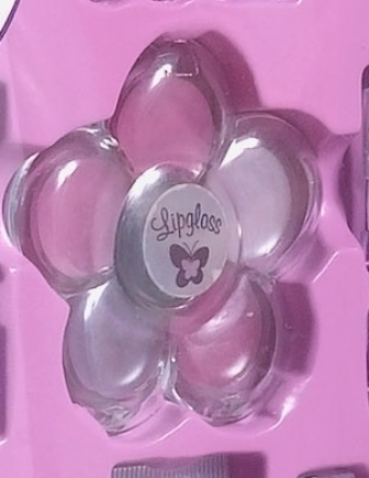 LIP GLOSS COMPACT.  COMPACT IS FLOWER SHAPED WITH A BUTTERFLY ON THE FRONT AND CONTAINS LIP GLOSS IN SIX COLOURS.  PACKAGED WITH THE FOLLOWING: A WOODEN VANITY BOX; 2 NAIL POLISHES; 2 LIP STICKS; 2 LIP GLOSS TUBES; 4 PLASTIC RINGS; 2 PLASTIC HAIR CLIPS; 12 TEXTILE HAIR BANDS; BODY GLITTER; 2 FOAM TOE SPACERS; 2 NAIL FILES; 4 BRUSHES; AND SOME STICKERS.  SET IS PACKAGED IN A PURPLE AND PINK CARDBOARD BOX.