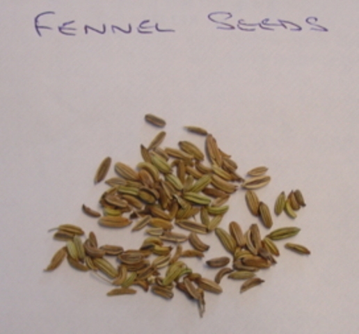 FENNEL SEEDS