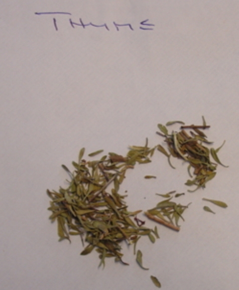 DRIED THYME