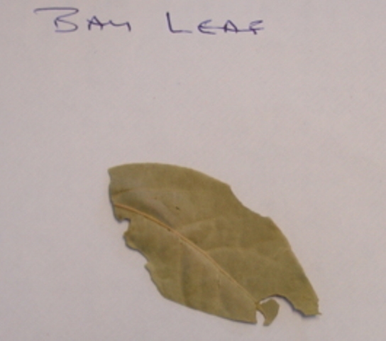 DRIED BAY LEAF