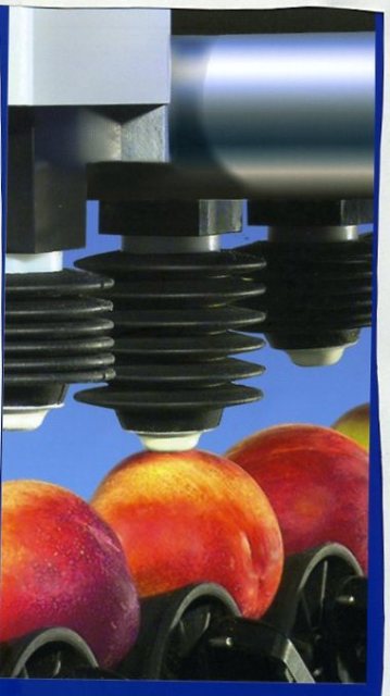 INTERNAL QUALITY (IQ) FIRMNESS TESTING SYSTEM. MACHINE DERIVES THE FIRMNESS OR OTHER INTERNAL QUALITY ATTRIBUTES OF INDIVIDUAL FRESH PRODUCE FOR THE PURPOSE OF PRODUCT MANAGEMENT IN THE WORLDWIDE FRESH PRODUCE INDUSTRY. THE MACHINE MEASURES THE ELECTRICAL RESPONSE FROM A PIEZOELECTRIC SENSOR AT FOUR SEPARATE LOCATIONS ON THE SURFACE OF A SINGLE FRUIT. FROM THESE MEASURES, THE SYSTEM PREDICTS, FOR EVERY FRUIT ON THE LINE, THE ELASTIC PROPERTY, WHICH REFLECTS THE RIPENESS LEVEL OF THAT FRUIT.
