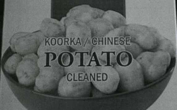 KOORKA POTATOES. FROZEN, CLEANED UNCOOKED CHINESE POTATOES. PRESENTED IN 400g PACKS WITH 24 PACKS PER CARTON.